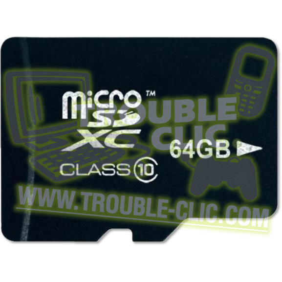 Acheter pour réparer Micro SD 64 Go [ Trouble Clic ]